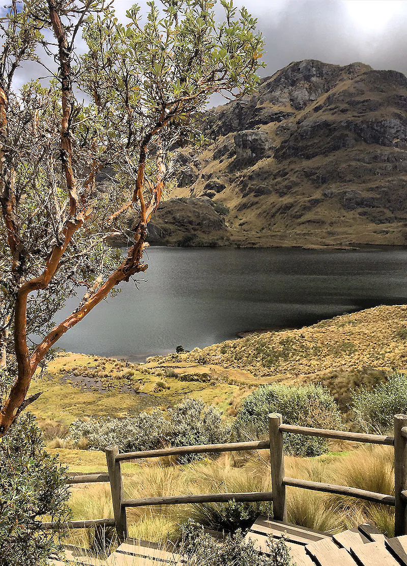 El Cajas